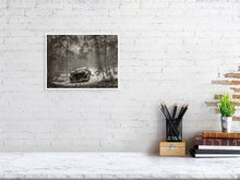 Load image into Gallery viewer, 5203826-1195011