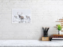 Load image into Gallery viewer, 5202398-1194995