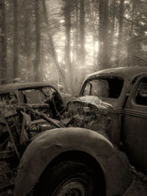 Load image into Gallery viewer, Painted With Light 2