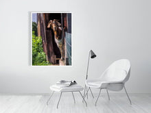 Load image into Gallery viewer, 5359078-1229654