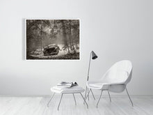 Load image into Gallery viewer, 5203826-1195013