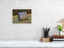 Load image into Gallery viewer, 5292745-1211912