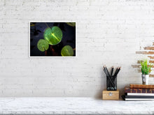 Load image into Gallery viewer, 5294014-1211255