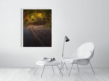 Load image into Gallery viewer, 5770993-1310564