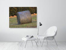 Load image into Gallery viewer, 5292745-1211915