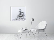 Load image into Gallery viewer, 5202364-1186797