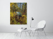 Load image into Gallery viewer, 5586580-1264792