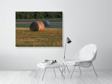 Load image into Gallery viewer, 5291734-1211971