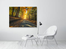 Load image into Gallery viewer, 5771250-1310719