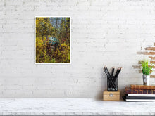 Load image into Gallery viewer, 5586580-1264789