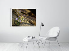 Load image into Gallery viewer, 5294007-1211907