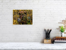 Load image into Gallery viewer, 5576545-1263952