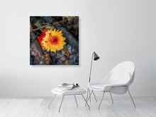 Load image into Gallery viewer, 5357578-1229569