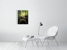 Load image into Gallery viewer, 5202191-1194639