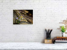 Load image into Gallery viewer, 5294007-1211905