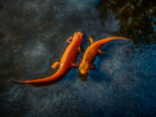 Load image into Gallery viewer, Two Ships Passing Through the Night