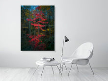 Load image into Gallery viewer, 5796653-1313522