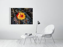 Load image into Gallery viewer, 5357528-1229563