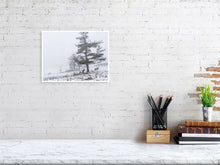 Load image into Gallery viewer, 5202428-1194999