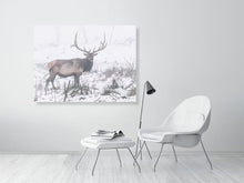 Load image into Gallery viewer, 5202467-1195006