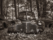 Load image into Gallery viewer, The Boss