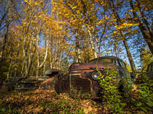 Load image into Gallery viewer, Autumobiles 2