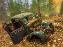 Load image into Gallery viewer, Soft Machine