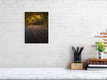 Load image into Gallery viewer, 5770993-1310562