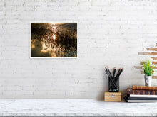 Load image into Gallery viewer, 5352204-1229338