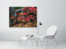 Load image into Gallery viewer, 5294002-1211254