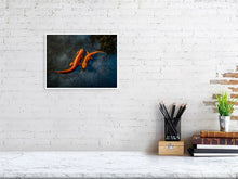 Load image into Gallery viewer, 5357489-1229557