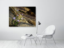 Load image into Gallery viewer, 5294007-1211908