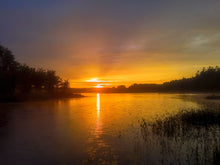 Load image into Gallery viewer, Drops Of Gold