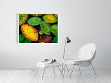 Load image into Gallery viewer, 5294020-1211264