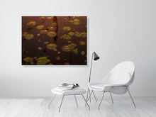 Load image into Gallery viewer, 5771269-1310715