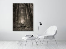 Load image into Gallery viewer, 5202301-1194653