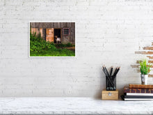 Load image into Gallery viewer, 5221804-1195099