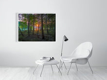 Load image into Gallery viewer, 5771322-1310706