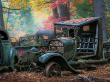 Load image into Gallery viewer, Wheeling In The Years