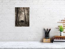 Load image into Gallery viewer, 5202278-1194646