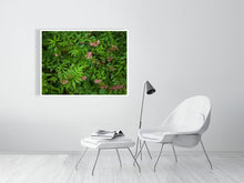 Load image into Gallery viewer, 5201683-1194937