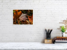 Load image into Gallery viewer, 5201927-1194979