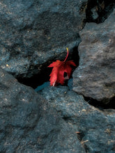 Load image into Gallery viewer, The Jester