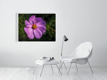 Load image into Gallery viewer, 5359123-1229642