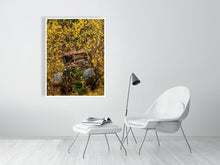 Load image into Gallery viewer, 5586549-1264787