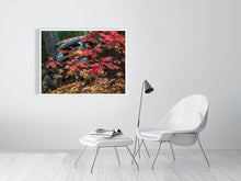 Load image into Gallery viewer, 5294002-1211253