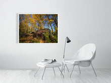 Load image into Gallery viewer, 5201242-1194913