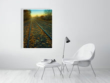 Load image into Gallery viewer, 5352287-1229320