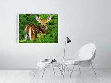 Load image into Gallery viewer, 5201680-1186650