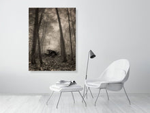 Load image into Gallery viewer, 5202278-1194649